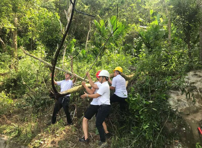 图片关键词 图片关键词