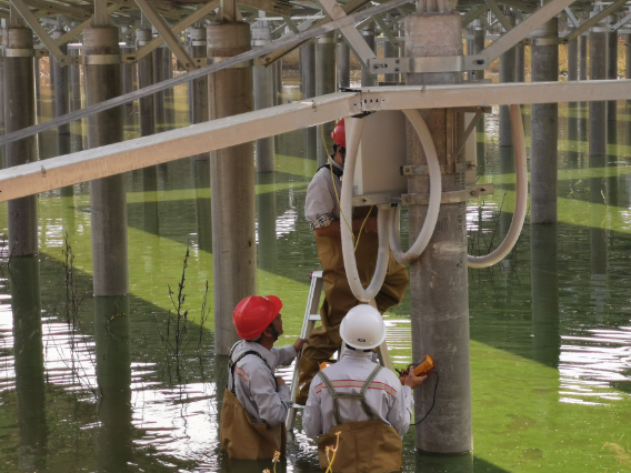 图片关键词 图片关键词