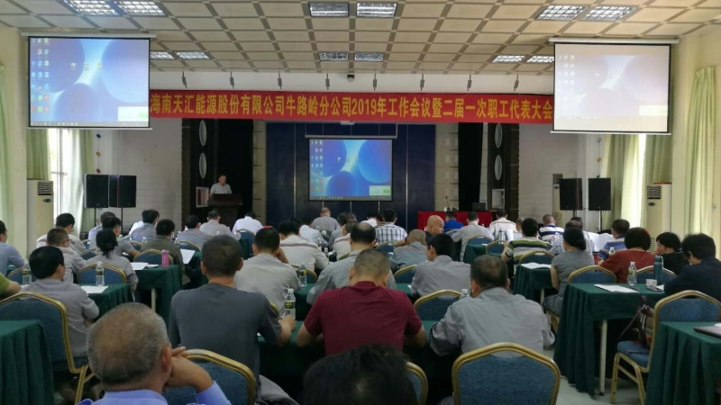 全面加强党的领导 深入推进创新发展 &mdash;&mdash;牛路岭分公司召开2019年工作会议暨第二届职代会第一次会议