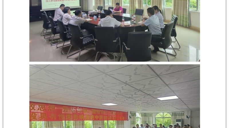 海控能源深入保亭发电公司宣讲省第八次党代会精神