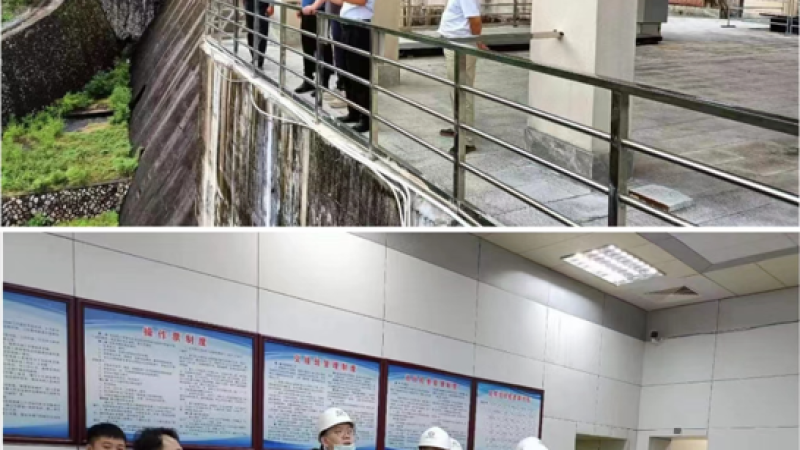 水利部发展研究中心一行到牛路岭水电站调研