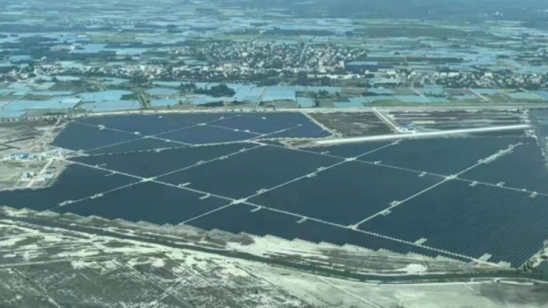 年供应绿电7.4亿度 海控能源稳步助力清洁能源岛建设