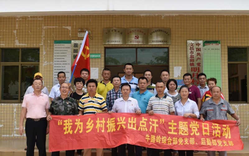 落实乡村振兴  彰显国企担当&mdash;&mdash;牛路岭分公司党委开展&ldquo;我为乡村振兴出点汗&rdquo;主题党日活动