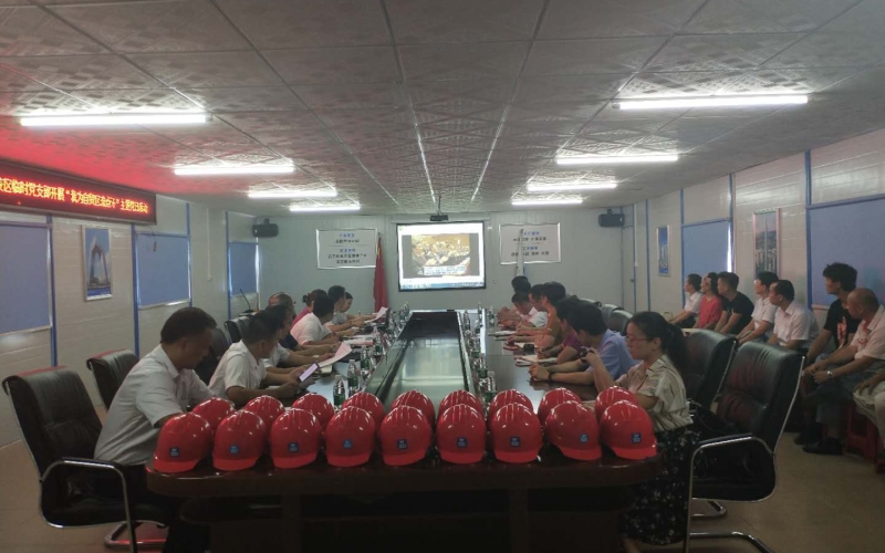 电力工程公司党支部与海控置业党支部联合开展&ldquo;我为自贸区（港）留点汗&rdquo;主题党日活动