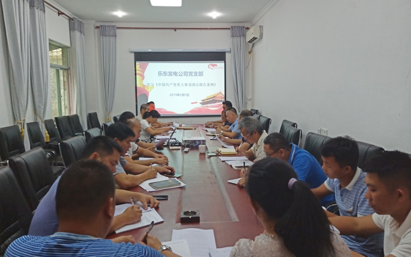 统一指导思想  规范党支部请示报告工作 &mdash;乐东发电公司党支部召开专题学习会
