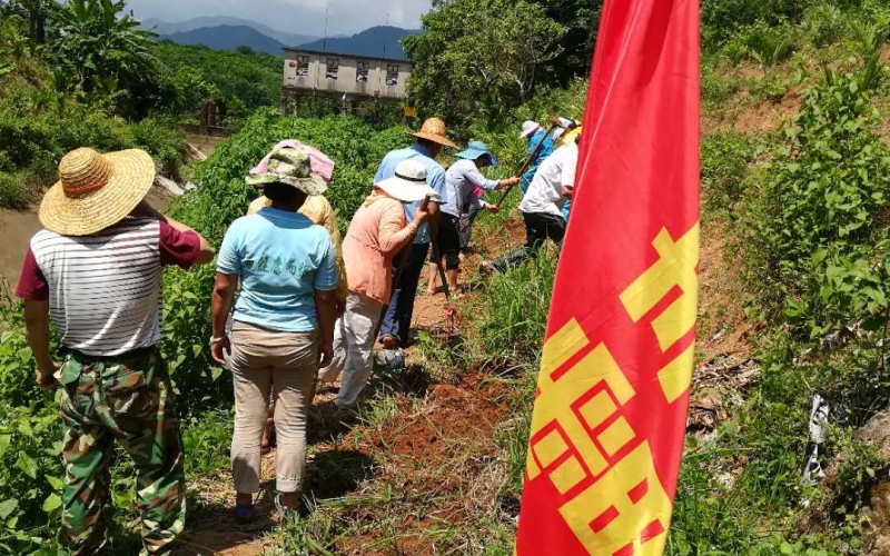 沉重电缆双肩扛，党员责任心中担 &mdash;&mdash;五指山发电公司春雷党支部开展主题党日活动组织党员干部职工参与清污机电缆敷设