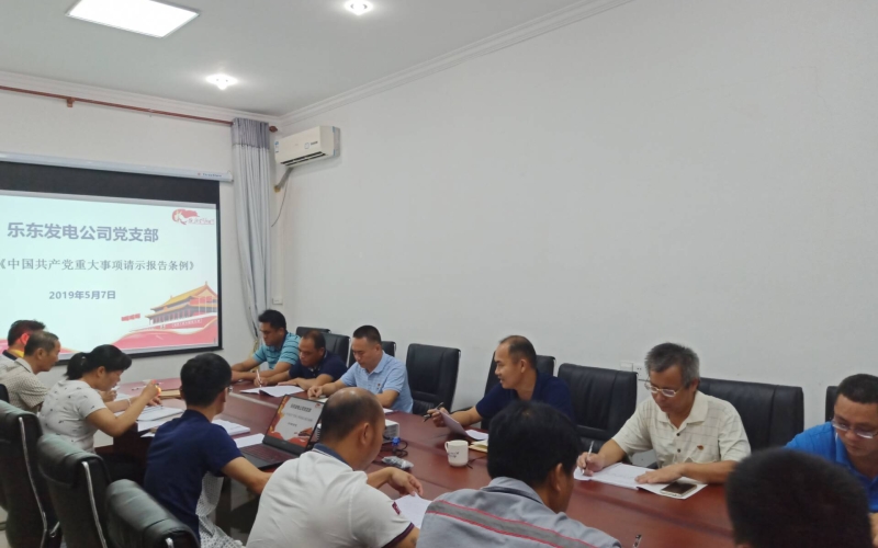 统一指导思想  规范党支部请示报告工作 &mdash;&mdash;乐东发电公司党支部召开专题学习会