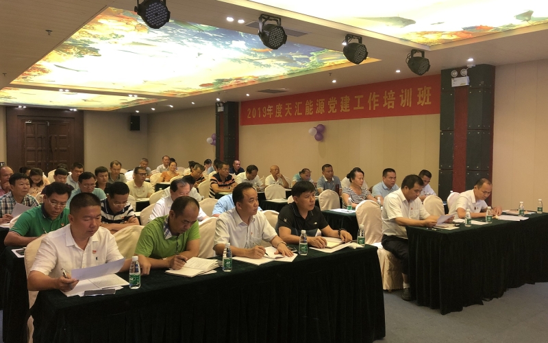 提升素质增强意识 落实全面从严治党 &mdash;&mdash;天汇能源举办党组织书记和党务工作培训班