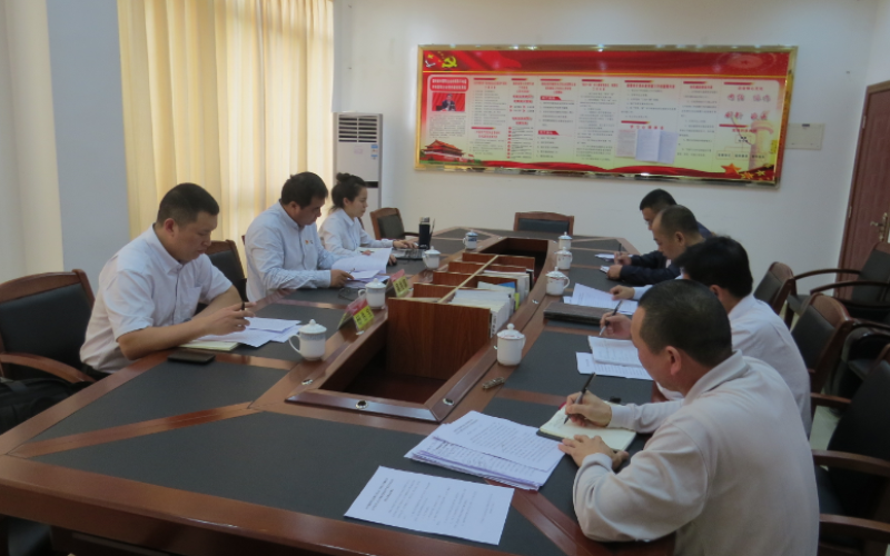 发扬党内民主、加强党内监督&mdash;&mdash; 五指山发电党委召开2018年度党员领干部组织生活会