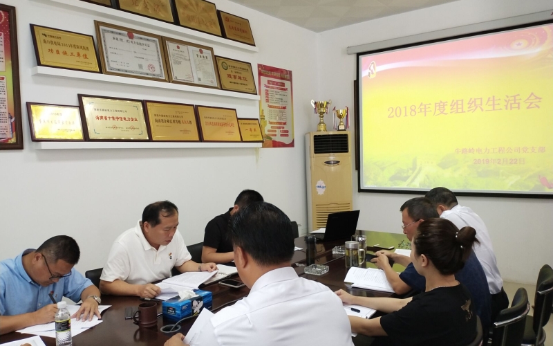 电力工程党支部组织召开 2018年度组织生活会和民主评议党员大会