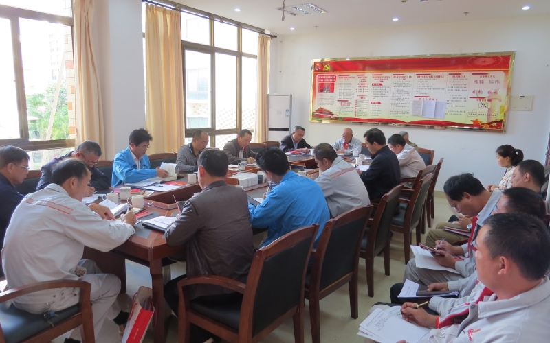 深化学习研讨  准确把握民主生活会主题 &mdash;&mdash;五指山发电公司党委召开党委理论学习中心组（扩大）会议