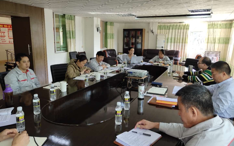 把党建工作挺在前头 &mdash;&mdash;保亭发电公司党总支召开会议专题研究党建工作