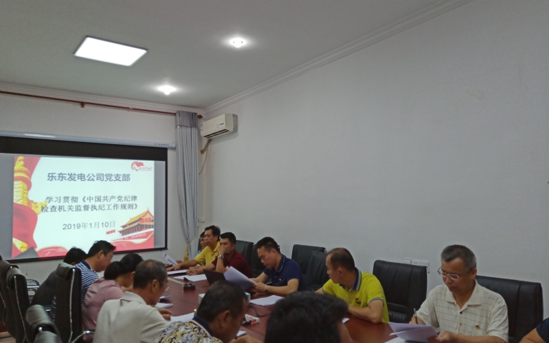 紧握戒律之尺 严格监督检查 --乐东发电公司党支部召开党员集中学习会