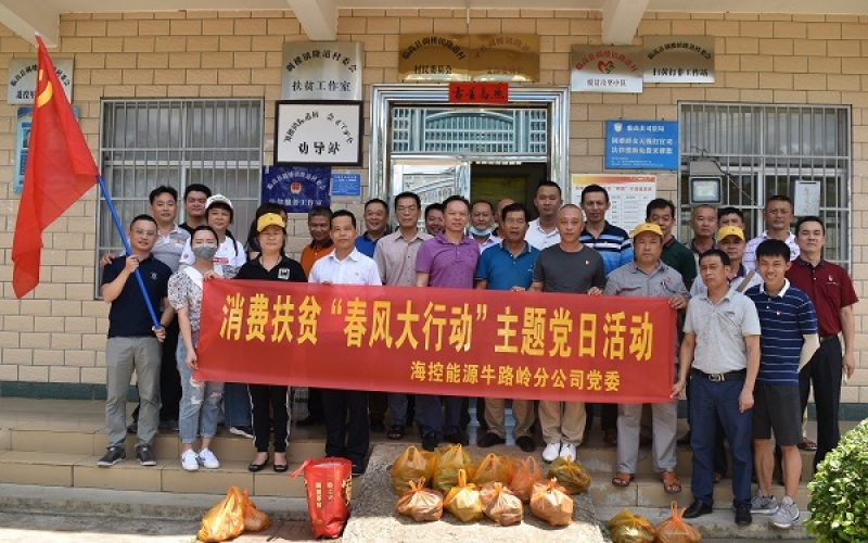 为扶贫下单 为脱贫助力 &mdash;&mdash;牛路岭分公司党委开展消费扶贫&ldquo;春风大行动&rdquo;主题党日活动