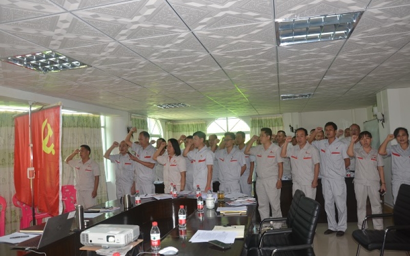 一心向党，奋力前行 保亭发电公司党总支开展&ldquo;纪念建党99周年，重温入党誓词&rdquo; 七一主题党日活动