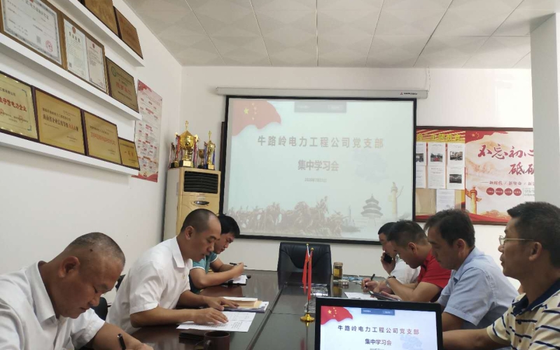 牛路岭电力工程公司党支部组织学习 《海南自由贸易港建设总体方案》