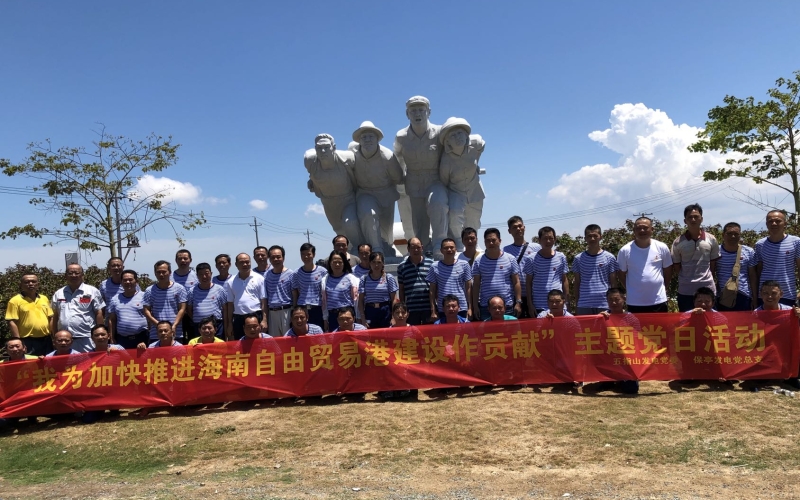 品读盐场精神，挥洒热血青春 &mdash;&mdash;五指山发电党委、保亭发电党总支联合开展&ldquo;我为加快推进海南自由贸易港建设作贡献&rdquo;主题党日活动