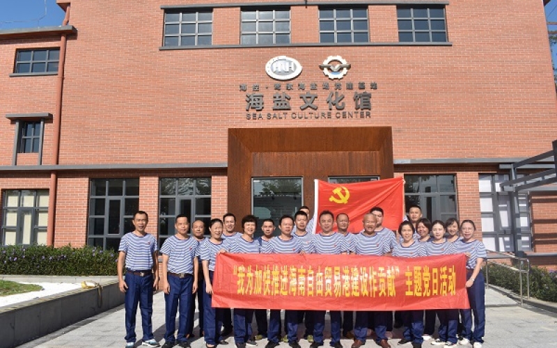 牛路岭分公司党委、电力工程公司党支部联合开展 &ldquo;我为加快推进海南自由贸易港建设作贡献&rdquo;主题党日活动