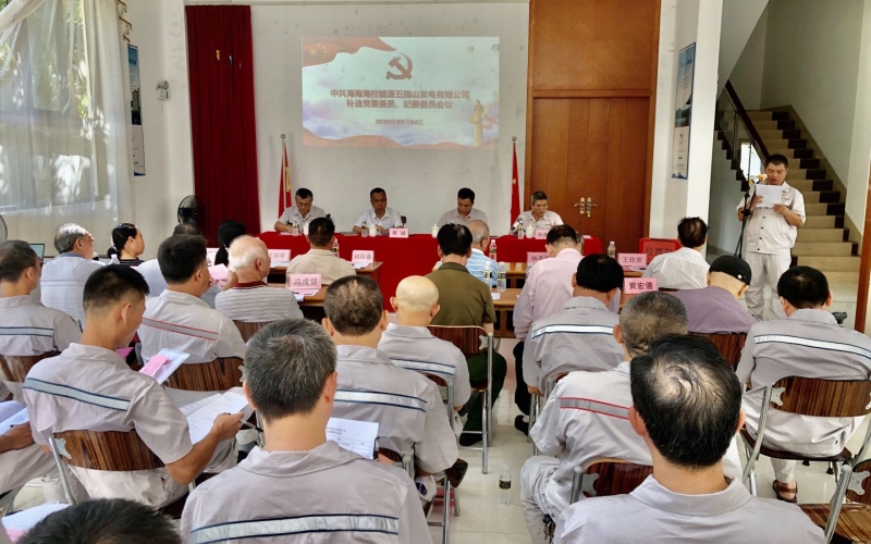 强化组织建设 凝聚奋进力量 &mdash;&mdash;海控能源五指山发电公司成功召开增补党委委员、纪委委员选举大会
