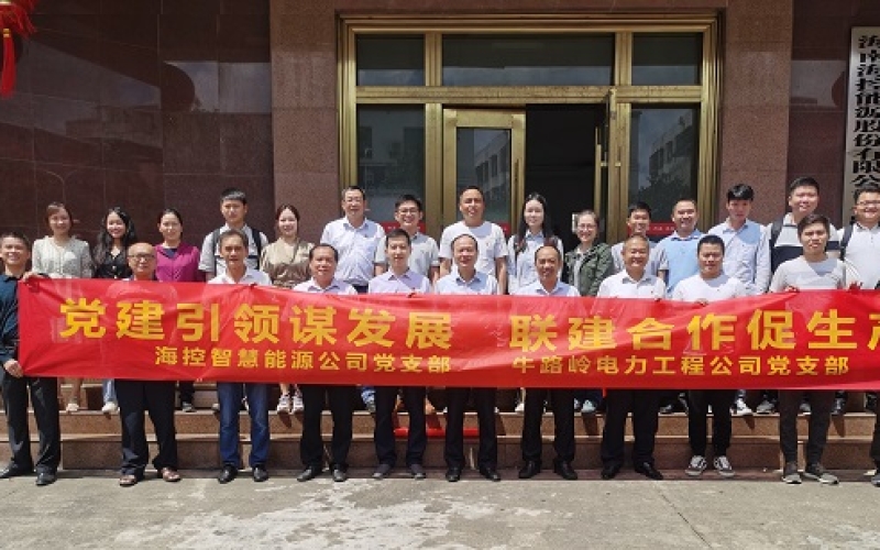 党建引领促提升 结对共建聚合力&mdash;&mdash;智慧能源党支部与牛路岭电力工程公司党支部联合开展&ldquo;学党史、强党建、开新局&rdquo;党建活动