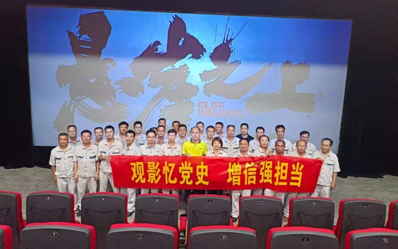 观影忆党史 增信强担当 &mdash;&mdash;保亭发电公司党总支组织开展观影主题党日活动