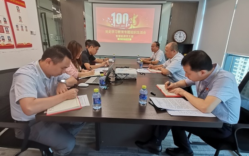 智慧能源党支部召开党史学习教育专题组织生活会