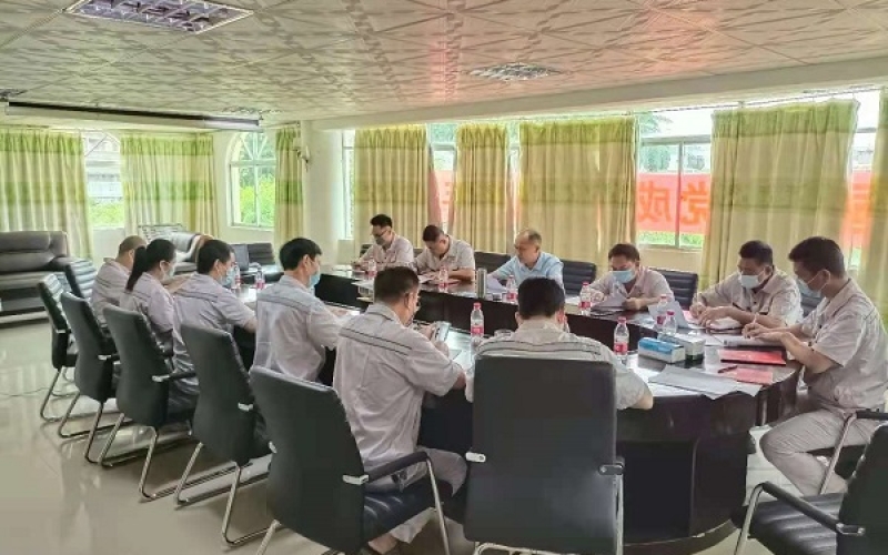 保亭发电公司召开党史学习教育专题组织生活会