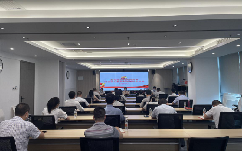 海控能源机关党支部召开党史学习教育专题组织生活会