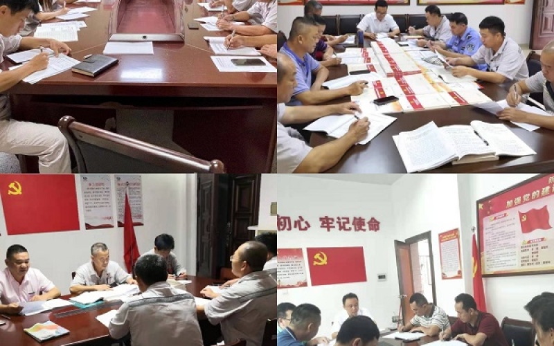 牛路岭分公司各党支部召开党史学习教育专题组织生活会