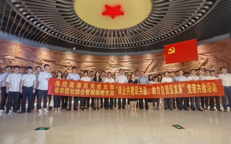 &ldquo;银企共建话共赢，助力自贸促发展&rdquo;&mdash;&mdash;海控能源机关党支部与省农信社综合管理部党支部开展党建共建活动