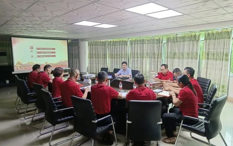 学条例 聚思想 强党建 促发展&mdash;&mdash;海控能源到保亭发电公司开展主题党课宣讲