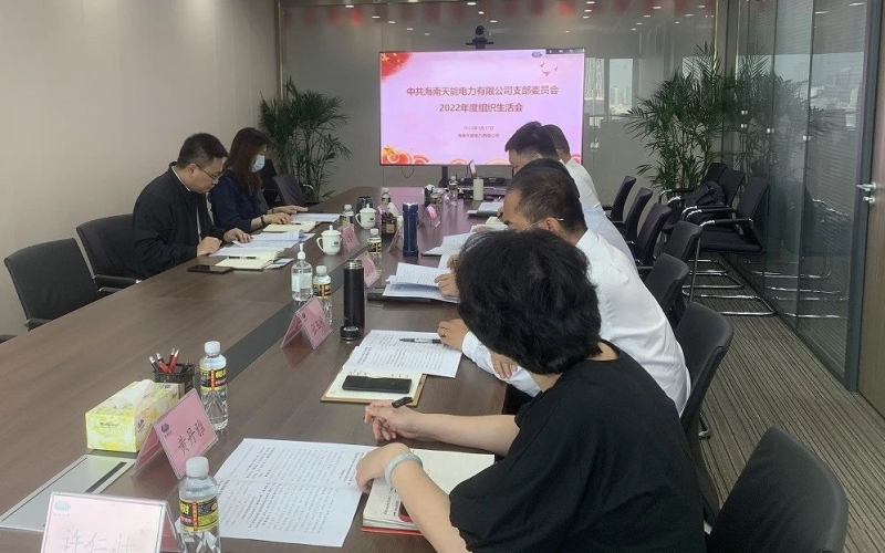 天能电力公司党支部召开2022年度组织生活会