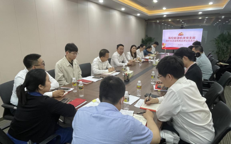 海控能源机关党支部召开组织生活会暨民主评议党员会议