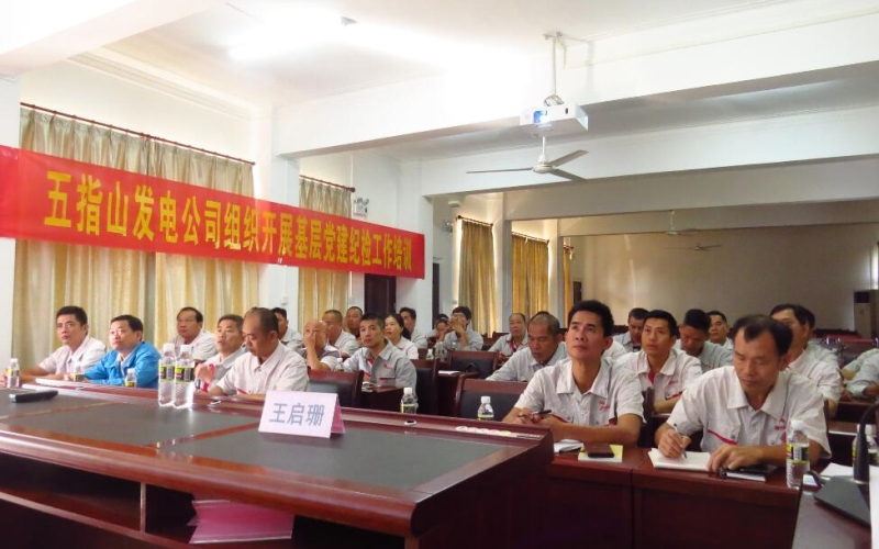 加强纪律建设 严明政治纪律和政治规矩&mdash;&mdash;五指山发电公司开展党建纪检工作培训