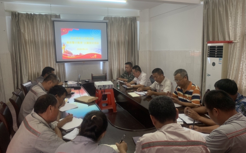 乐东发电公司党支部 组织开展&ldquo;廉政警示教育&rdquo;主题党日活动