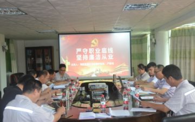 海控能源纪委在保亭发电公司组织开展 2021年廉政宣贯会