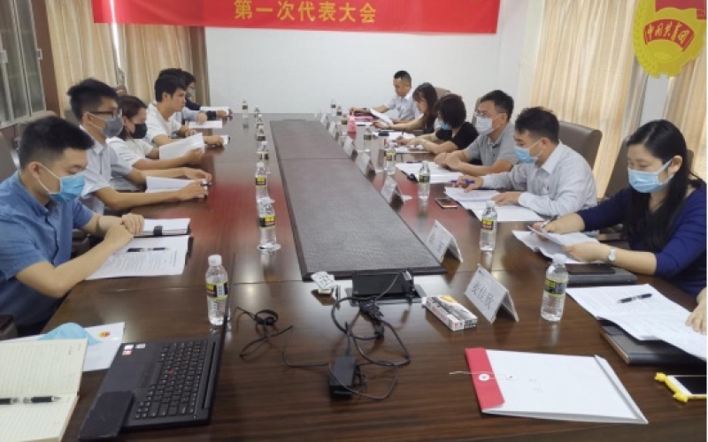 逐梦自贸港 扬帆新时代&mdash;&mdash;共青团海南海控能源股份有限公司委员会 召开换届选举大会