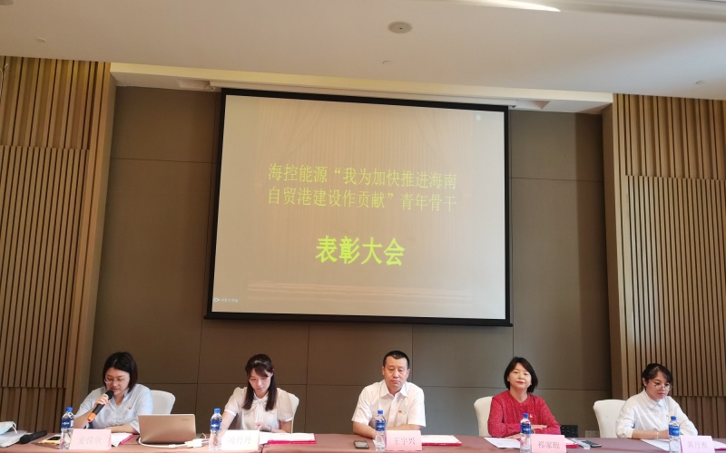 以青春之我、奋斗之我  为加快海南自由贸易港建设作贡献 &mdash;&mdash;海控能源团委开展&ldquo;五四&rdquo;青年骨干表彰暨培训会